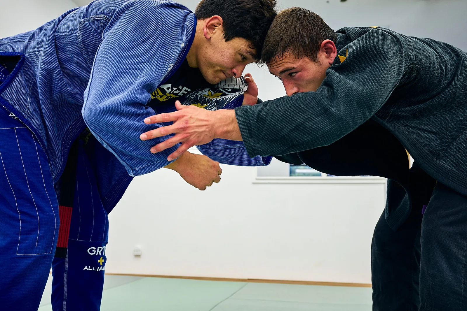 Alliance Jiu Jitsu San Francisco