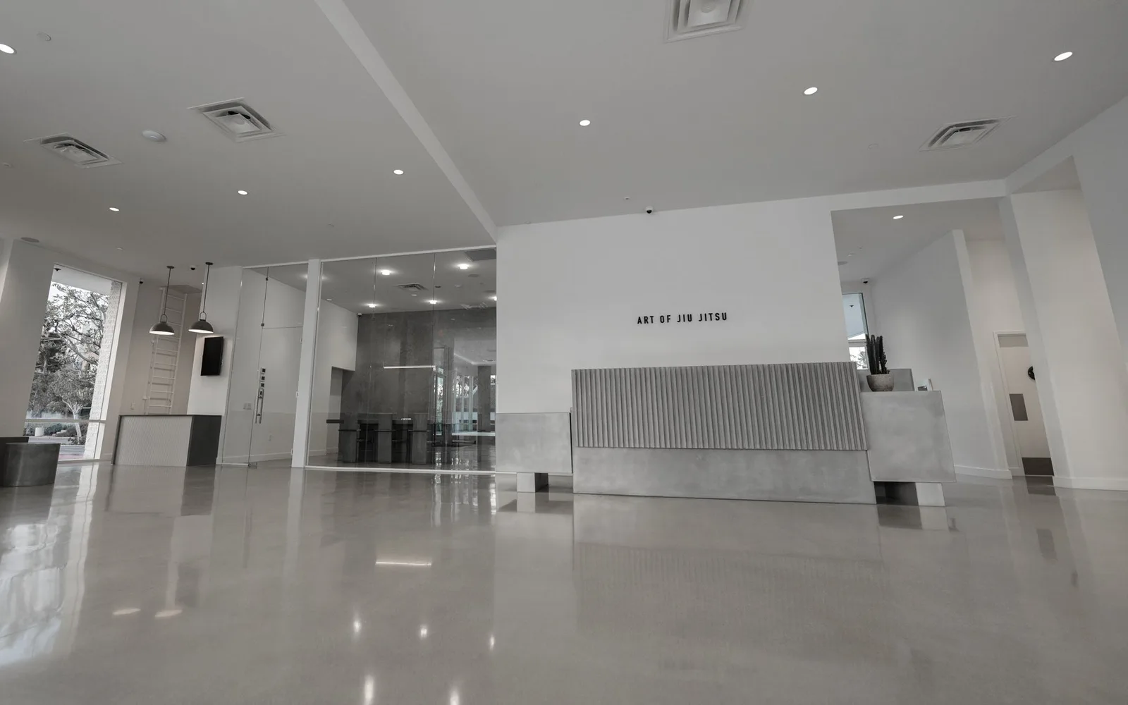AOJ Mission Viejo (Art of Jiu Jitsu)