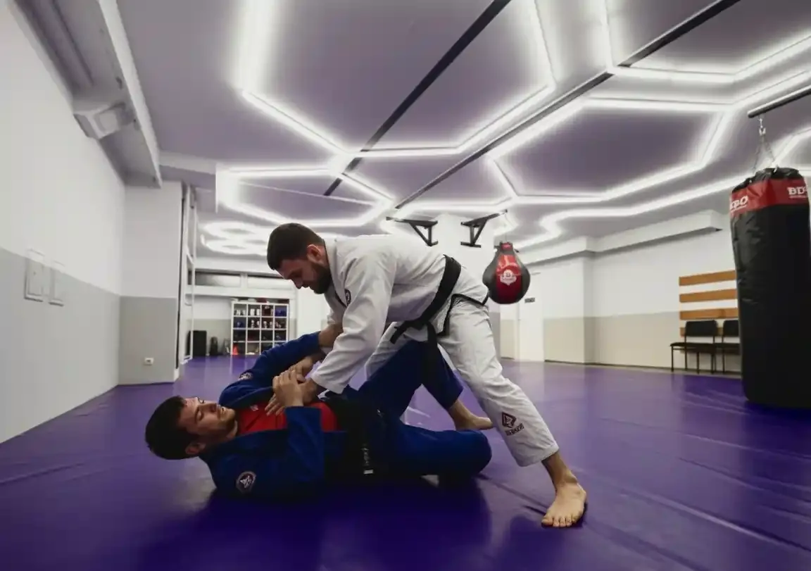 Black Belt Academy — بكلماتها هي، 'ein Trainingszentrum in Berlin mit Kursen in Taekwondo, MMA, BJJ und CrossFit für Kinder und Erwachsene' (مركز تدريب في برلين بحصص في التايكوندو وMMA والجوجيتسو البرازيلي والكروس فيت للأطفال والكبار). وتسمي نفسها 'Die Black Belt Academy in Berlin-Tegel'. الفن الأول للدار هو التايكوندو؛ والجوجيتسو البرازيلي حصة مسماة لها صفحتها ومدربها. تديرها جمعية مسجلة، Sultans e.V.