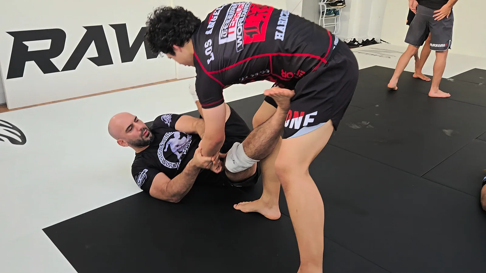 LDN Equilibrium BJJ