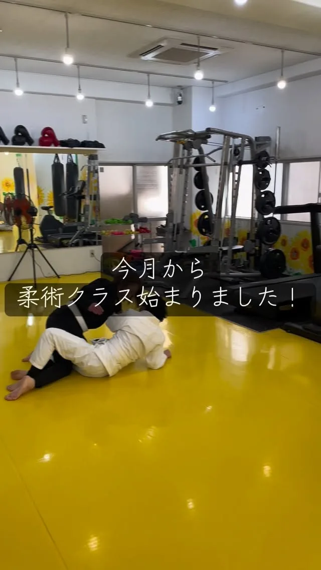 Fight Fit 秋叶原（ファイトフィット秋葉原，トイカツ道場连锁）