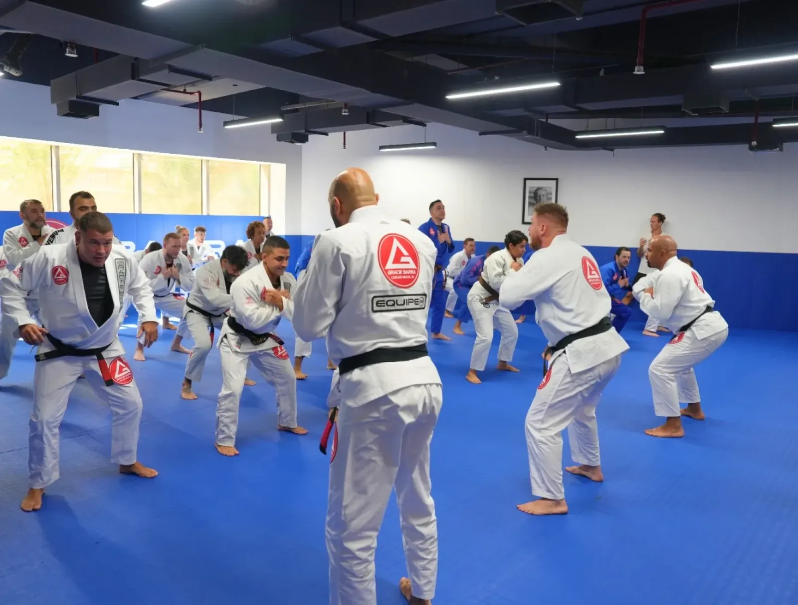 Gracie Barra JBR