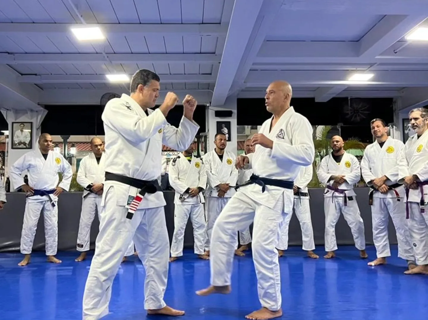 Gracie Humaitá Reserva