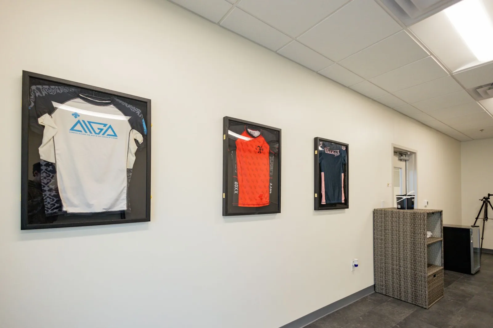 Jiu-Jitsu Hub