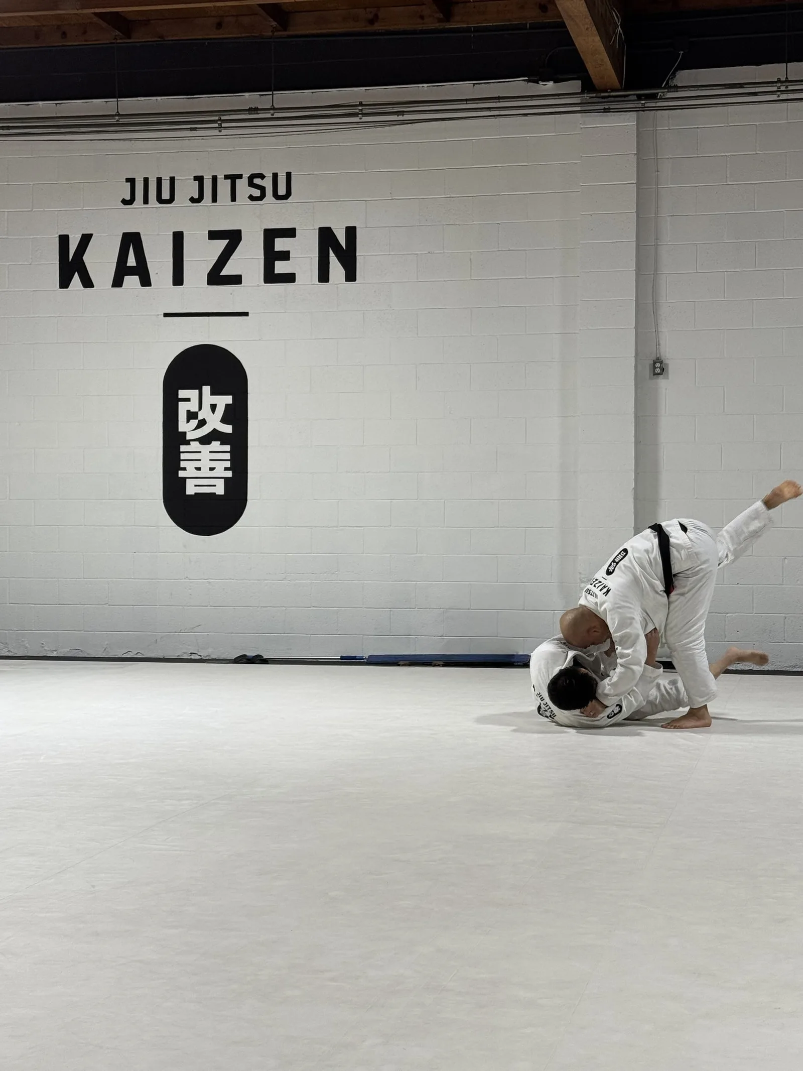 Jiu-Jitsu Kaizen