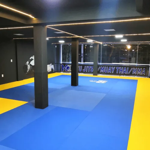 MD Self-Defense Academy Zona Condesa