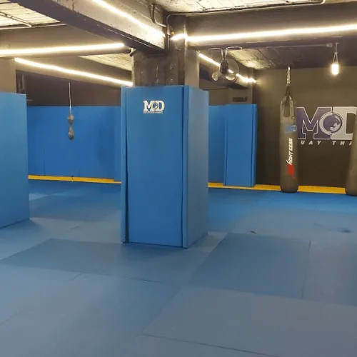 MD Self-Defense Academy Polanco / Renzo Gracie México