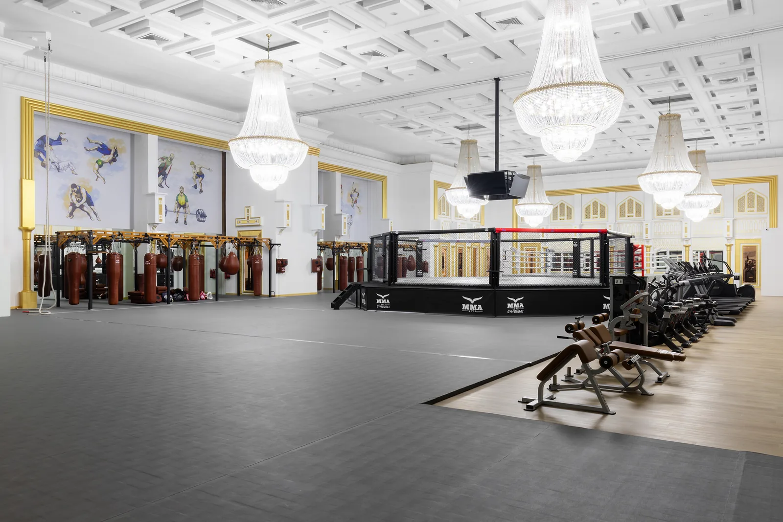 MMA Live Gym Dubai
