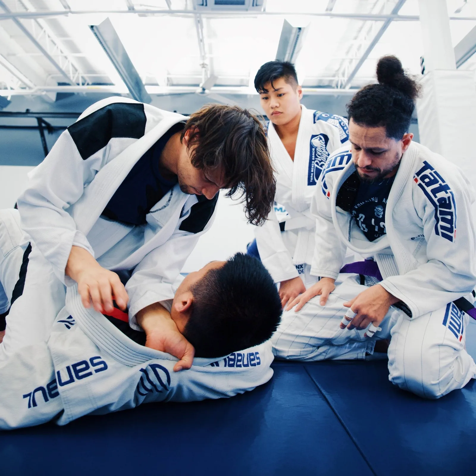 Renzo Gracie Bayside — même opérateur que Bronx Martial Arts Academy, bien que la propriété commune n'achète au visiteur rien de transférable
