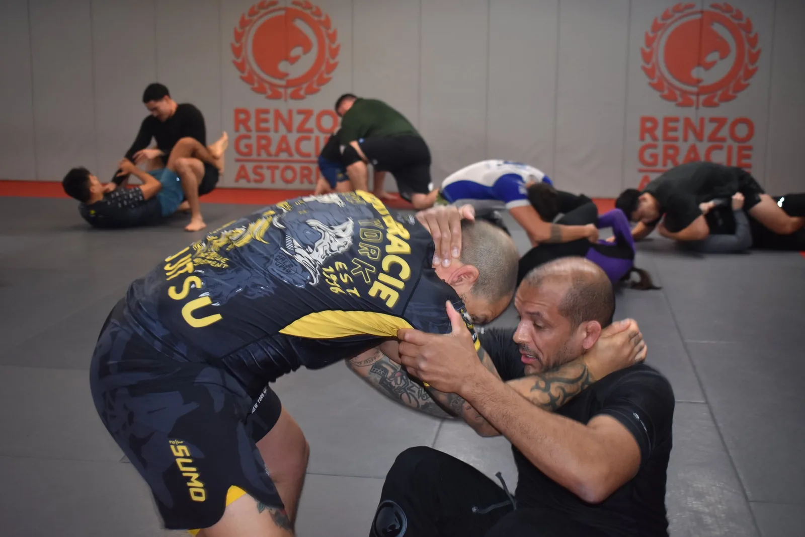 Renzo Gracie Queens — l'annuaire du réseau utilise encore son ancien nom d'Astoria
