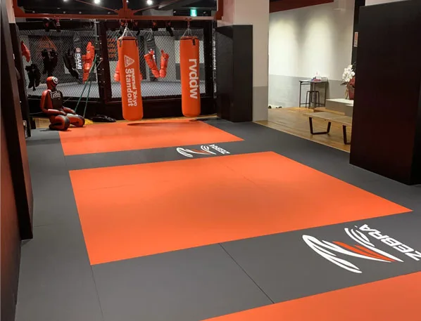 Reversal Gym 东京 Standout 田町芝浦スタジオ