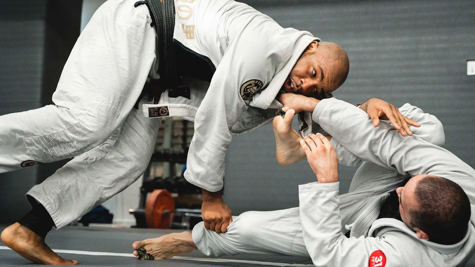 Ralph Gracie Berkeley Brazilian Jiu-Jitsu Academy