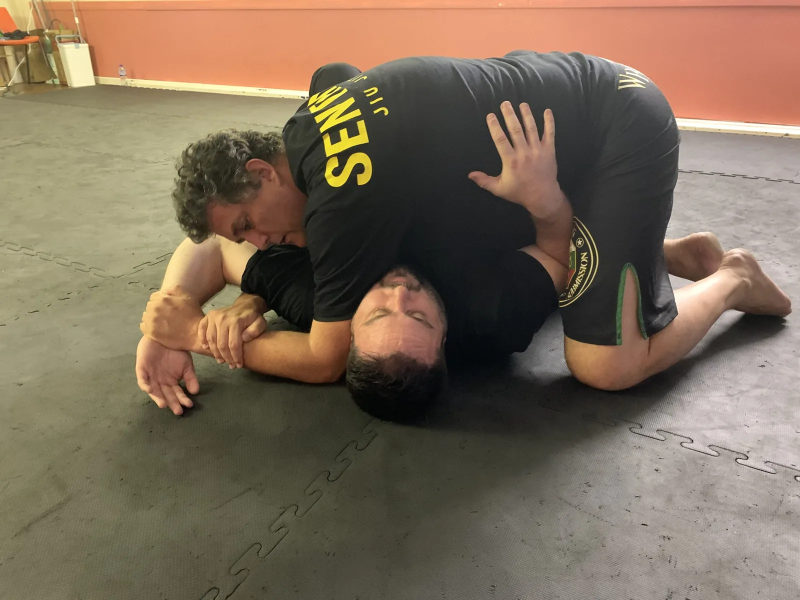SENTINEL Jiu-Jitsu