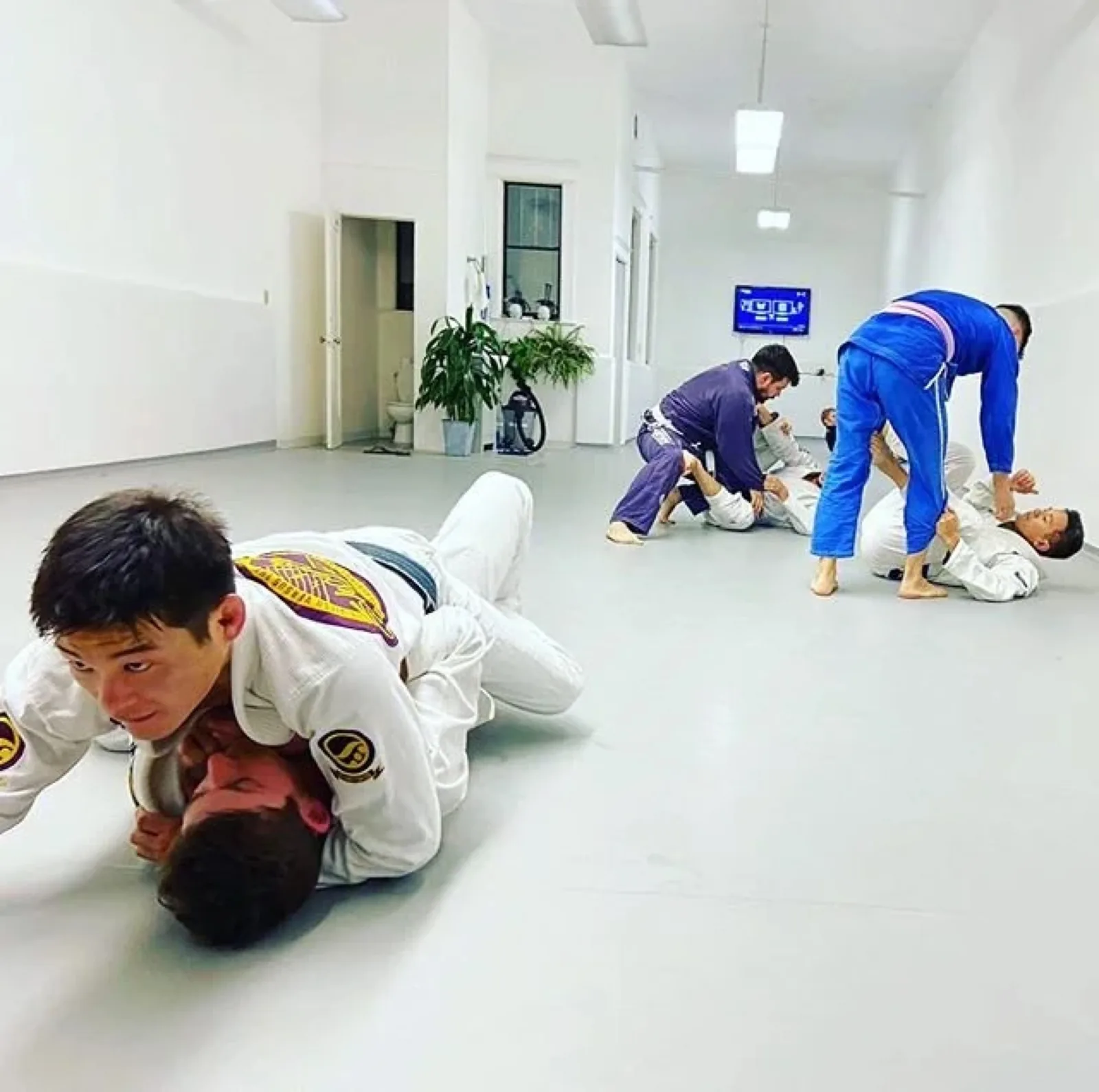 Studio86 Jiu Jitsu