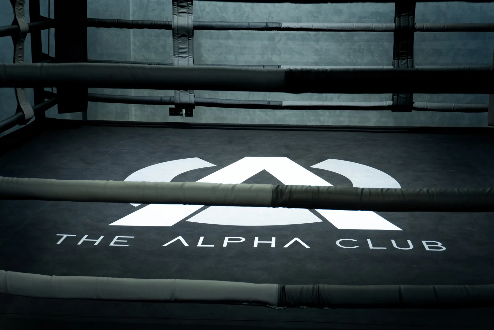 The Alpha Club