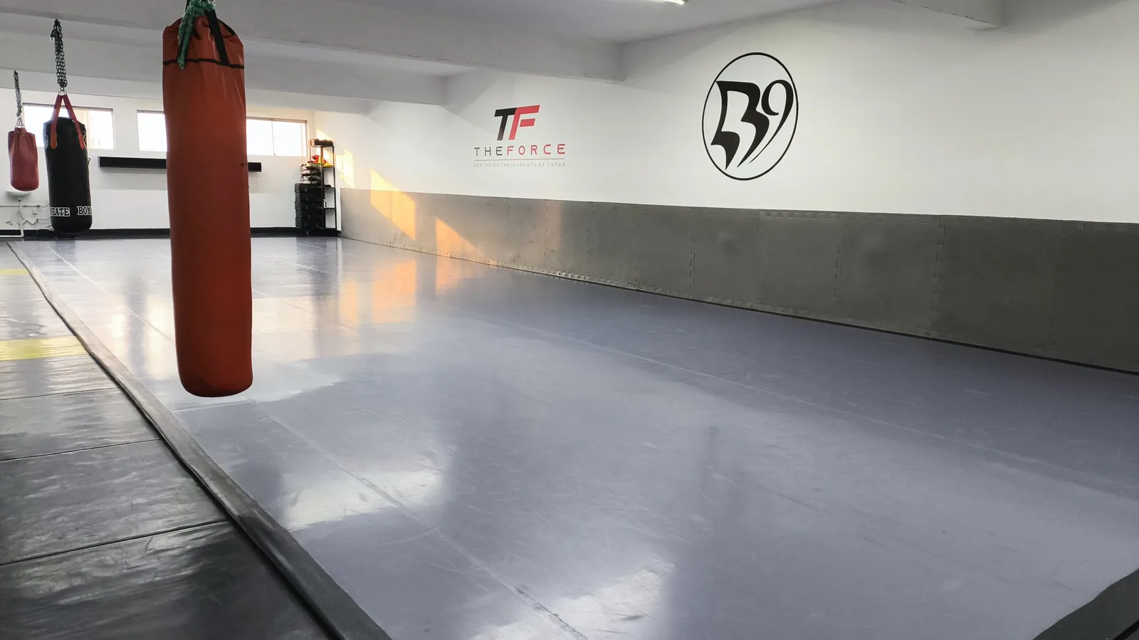 The Force - Escola de Jiu-Jitsu