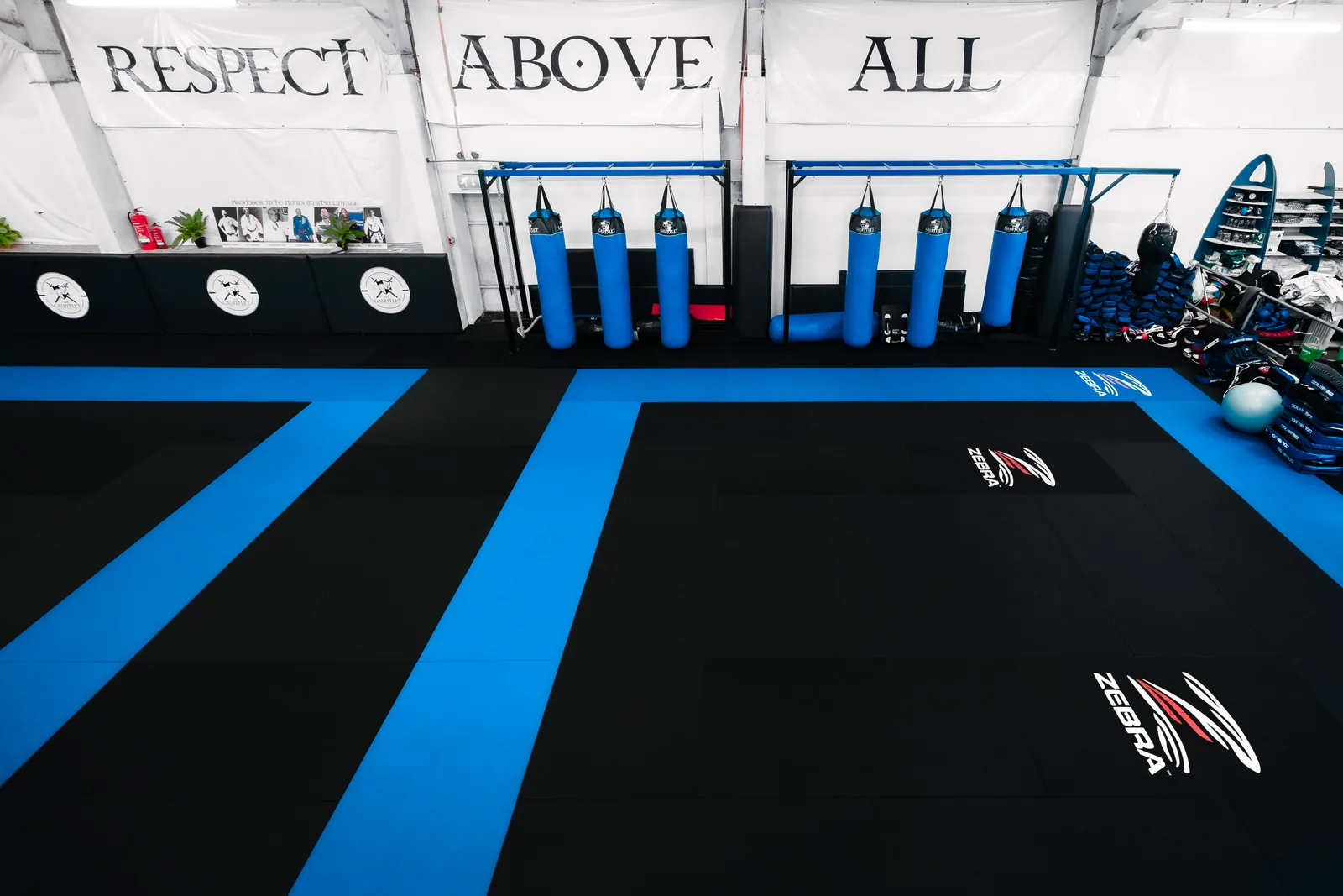 The Gauntlet Fight Academy