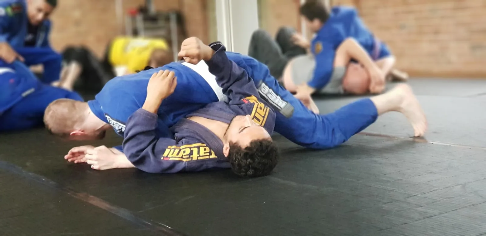The Resistance BJJ